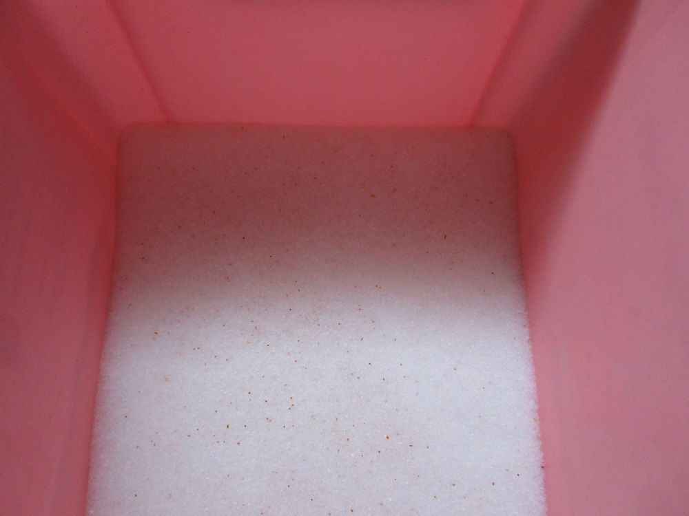 ラヴィートワレ（Lavitoile）1.5kg