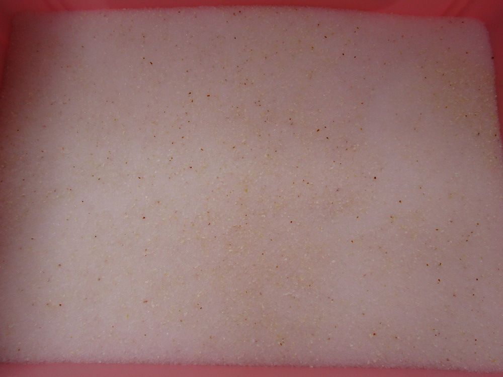 ラヴィートワレ（Lavitoile）1.5kg