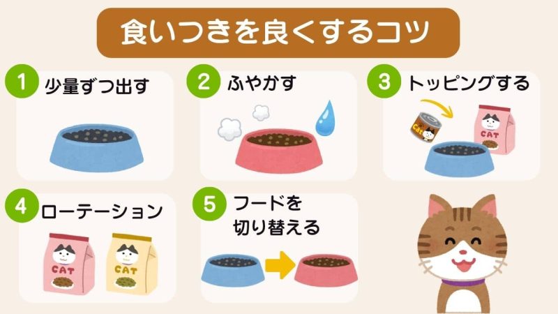 食いつきがいいキャットフード