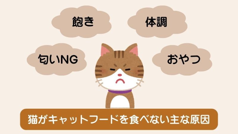 食いつきがいいキャットフード