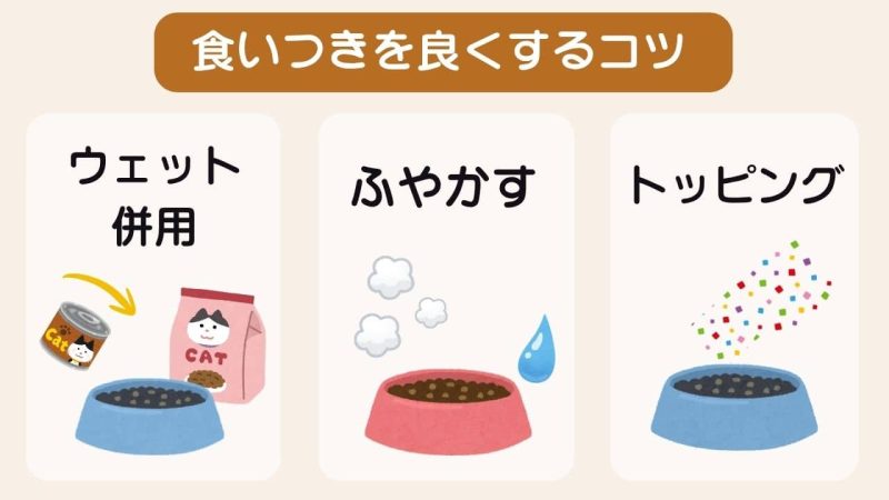 匂いが弱いキャットフード