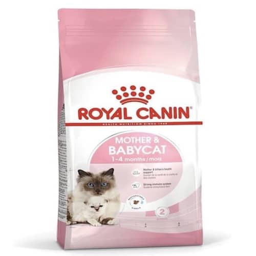 ロイヤルカナン子猫用