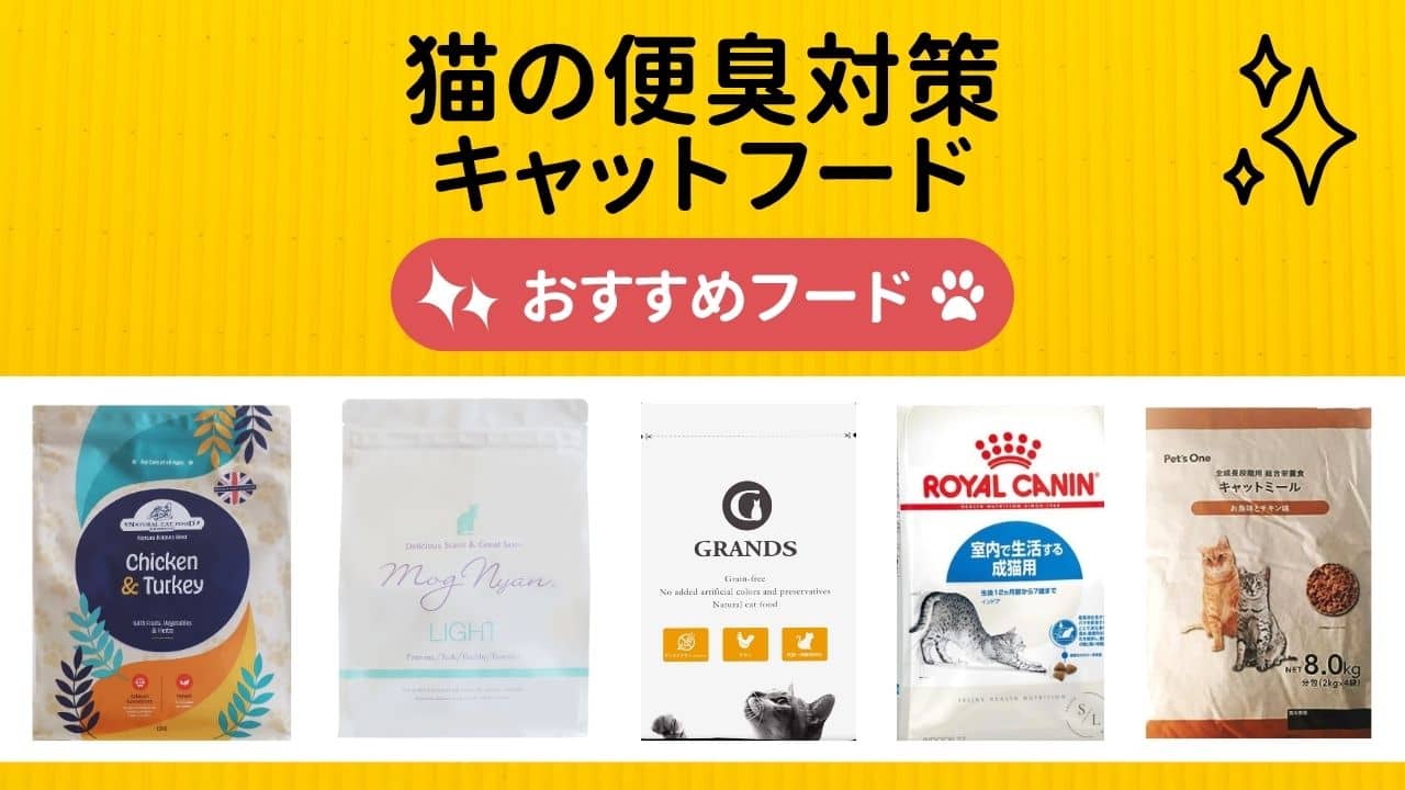 猫の便臭対策キャットフード