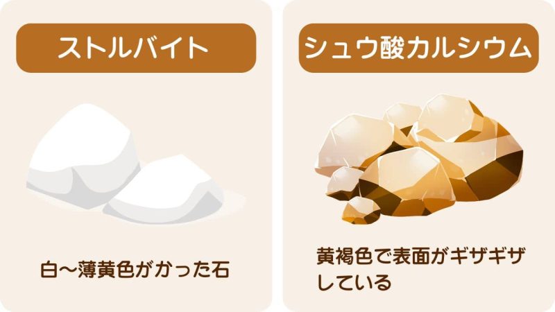 猫の下部尿路疾患