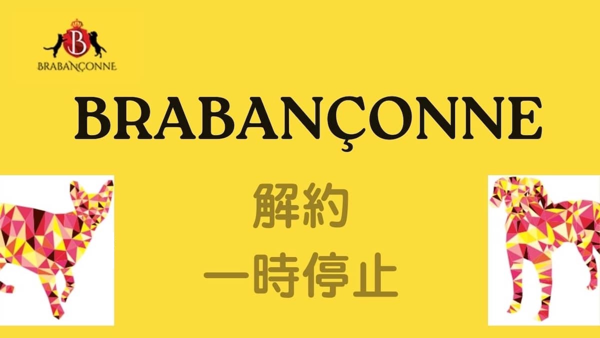 ブラバンソンヌ解約・休止方法
