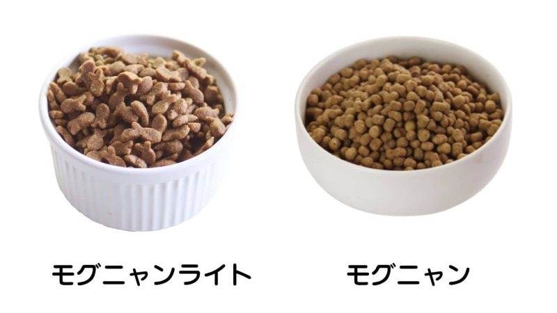 モグニャンとライト比較