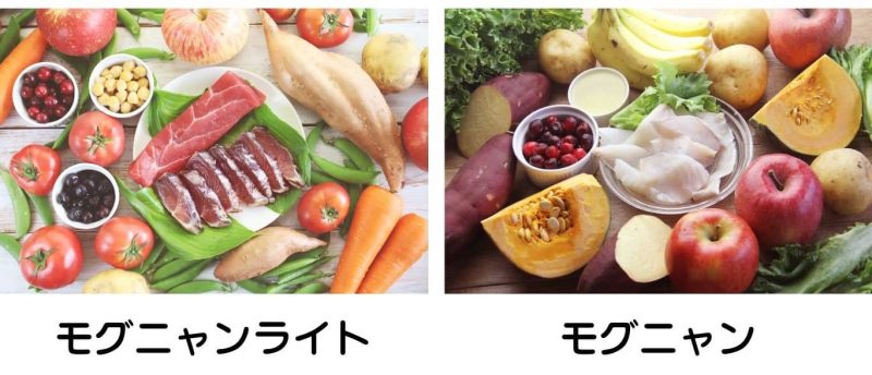 モグニャンとライト比較