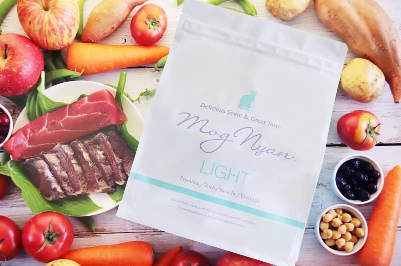 モグニャンライト