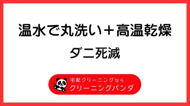 クリーニングパンダ