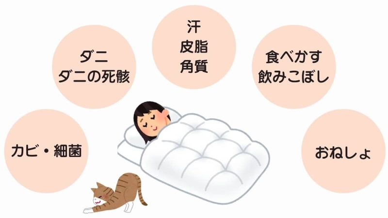 せんたく便
