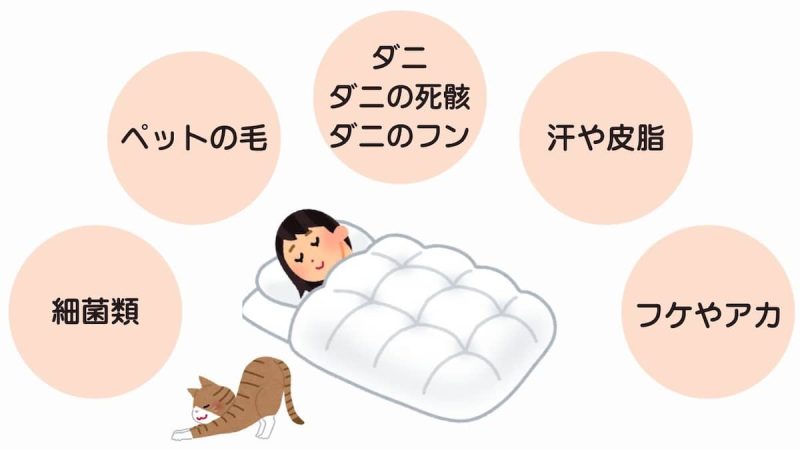 リナビス