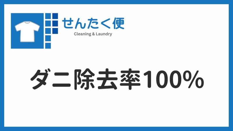 せんたく便