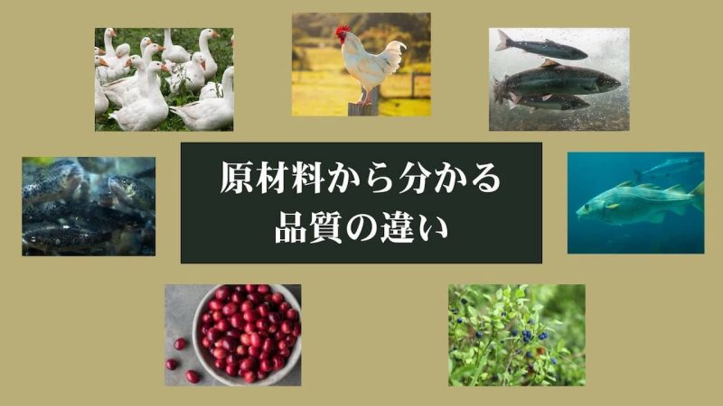 エッセンシャルキャットフード