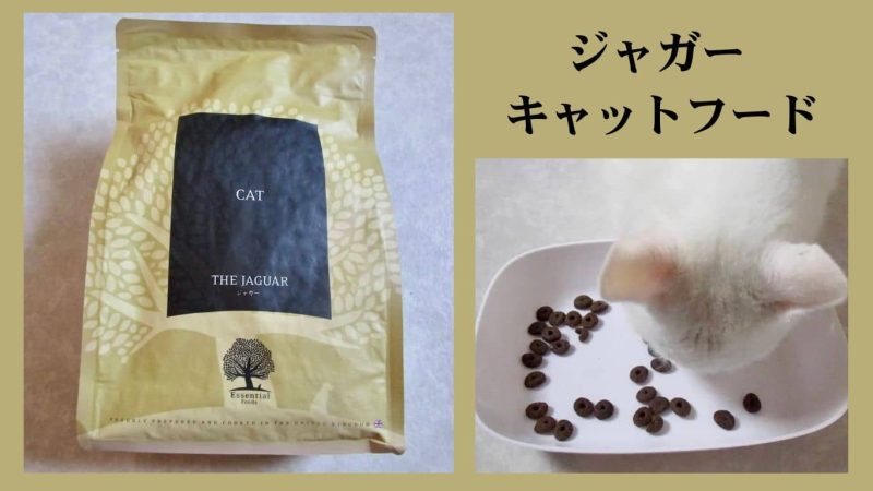ジャガーキャットフード