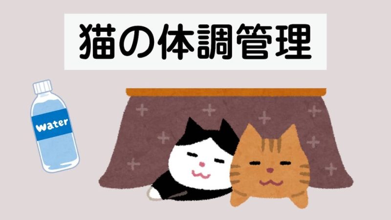 猫用こたつ
