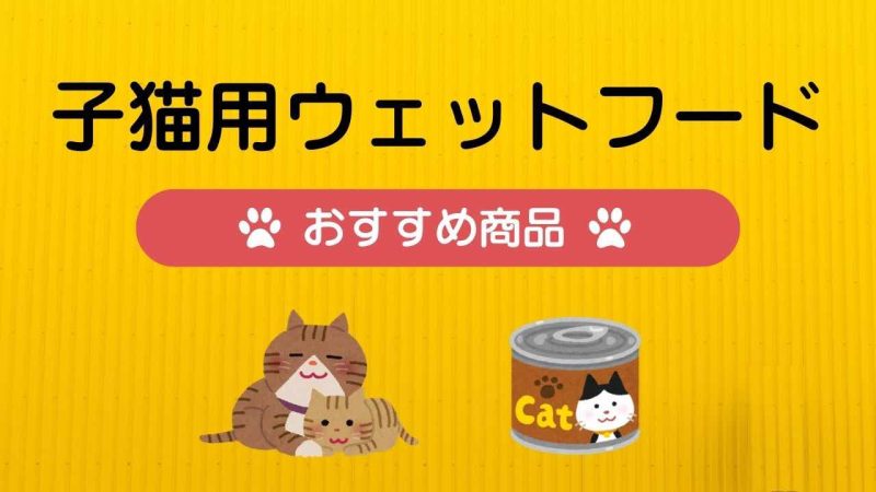 子猫用キャットフード