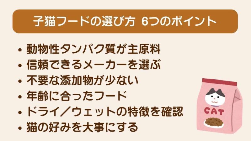 子猫用キャットフード