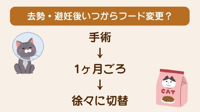 去勢・避妊後のキャットフード
