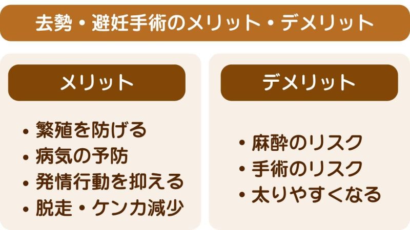 去勢・避妊後のキャットフード