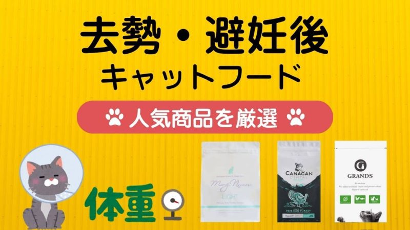 去勢・避妊後のキャットフード