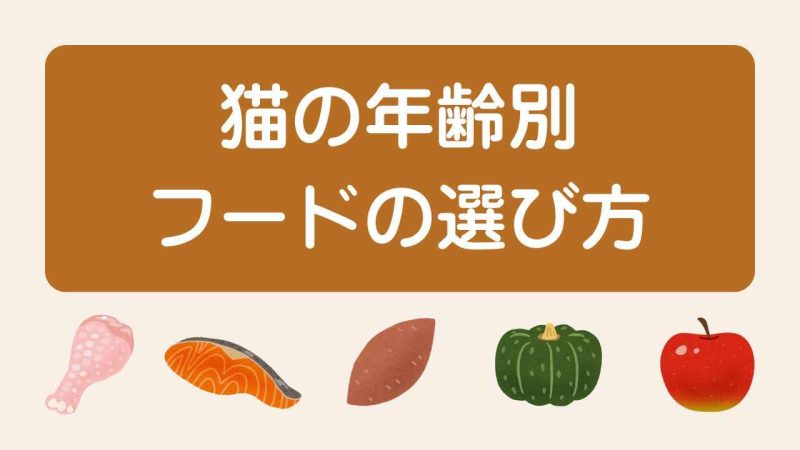 シニア猫用キャットフード