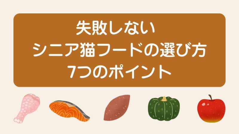 シニア猫用キャットフード