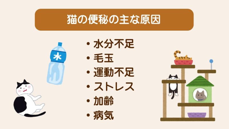 便秘対策キャットフード