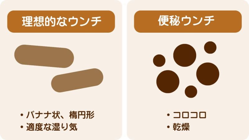 便秘対策キャットフード