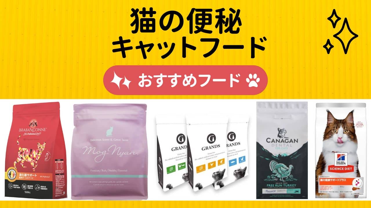 便秘対策キャットフード