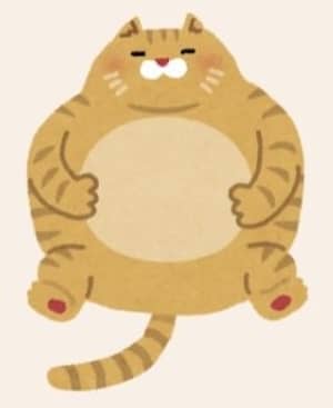 肥満猫