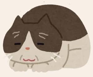 シニア猫