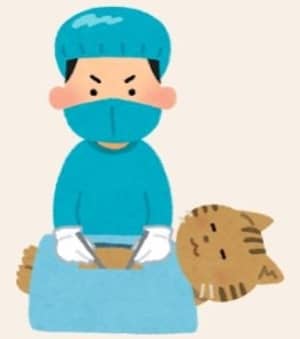 去勢・避妊猫