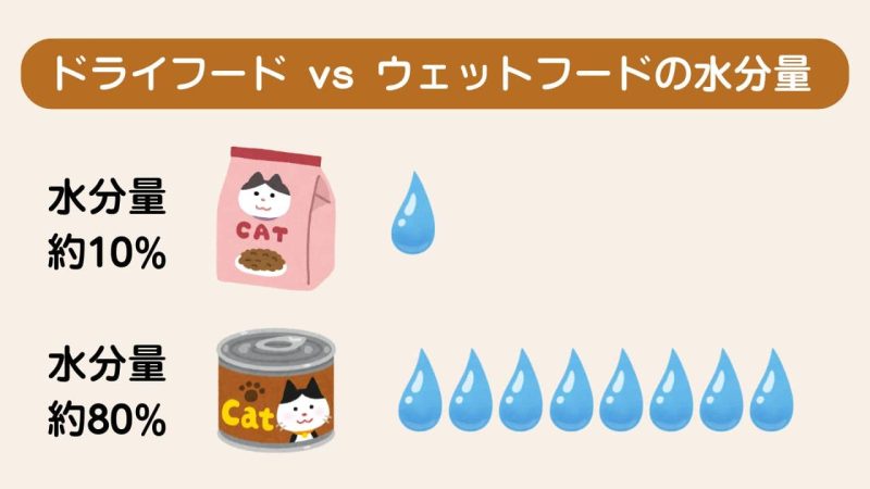 下部尿路に配慮したキャットフードの選び方