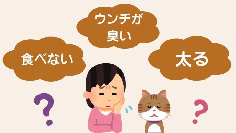 キャットフードの選び方