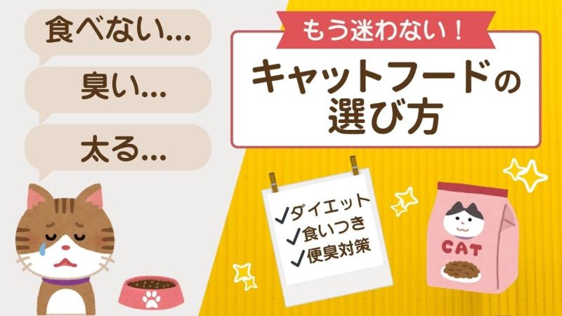 キャットフードの選び方