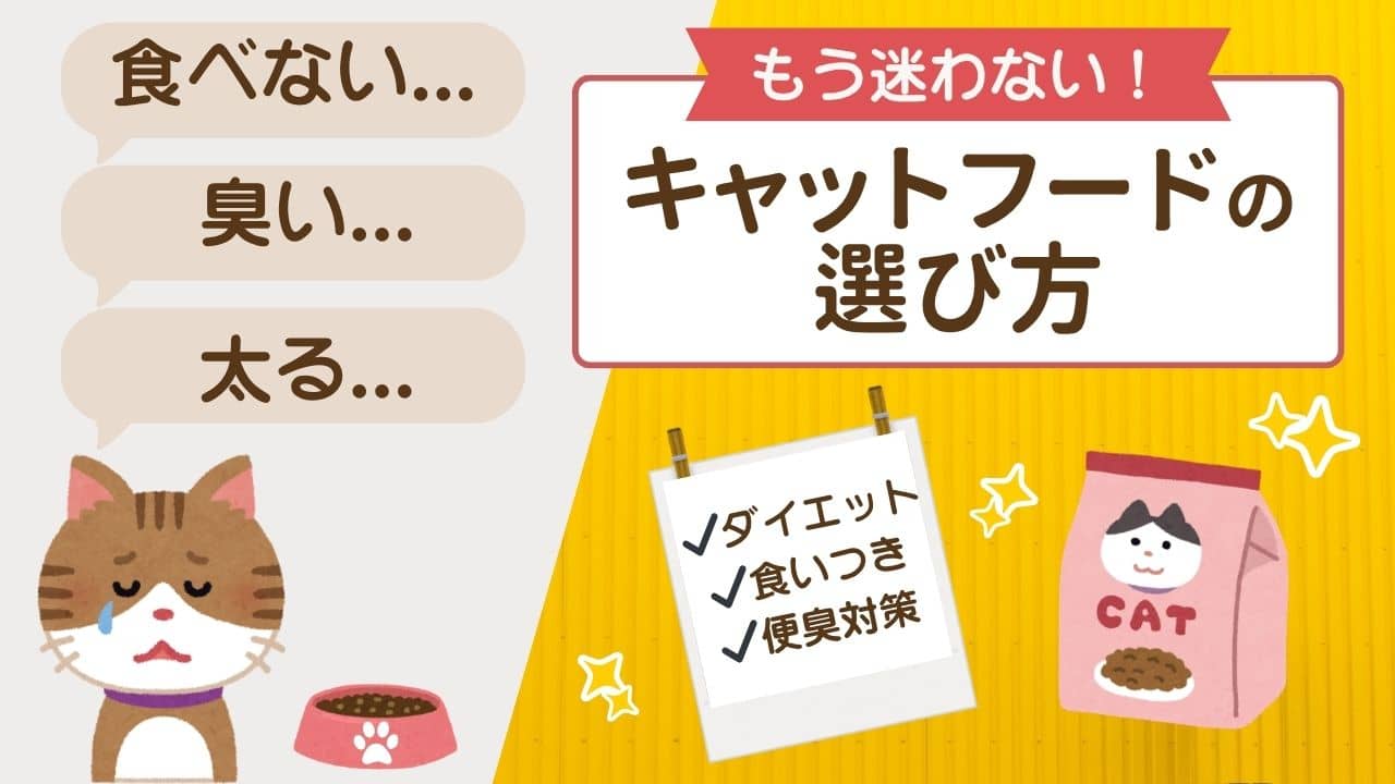 キャットフードの選び方