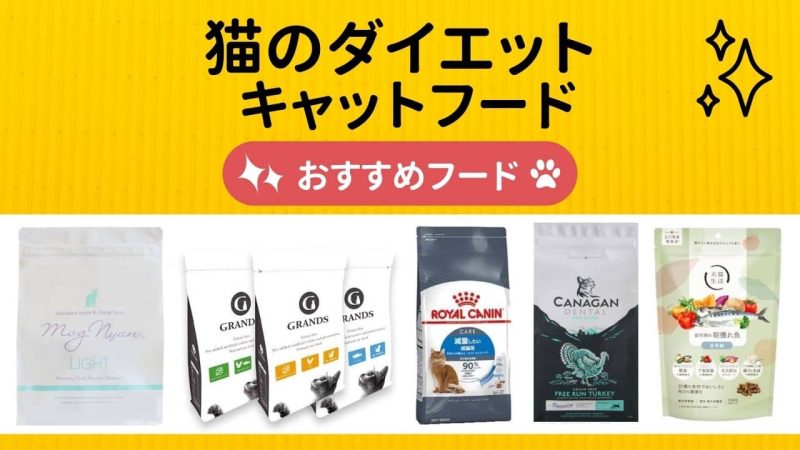 ダイエットキャットフード