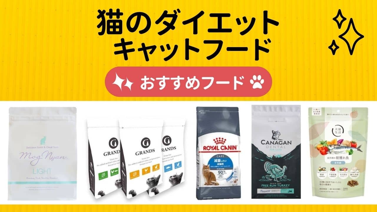 ダイエットキャットフード