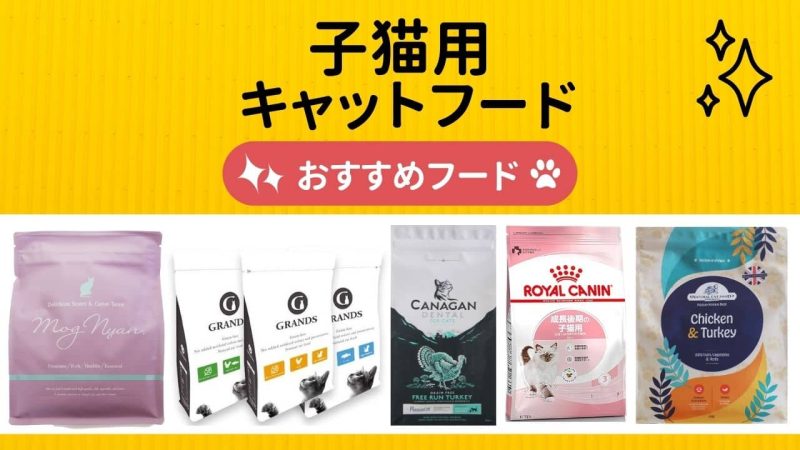 子猫用キャットフード
