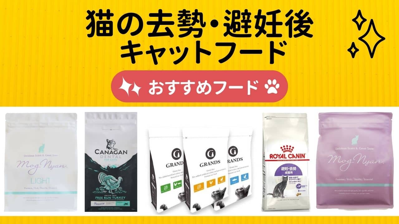 去勢・避妊後のキャットフード