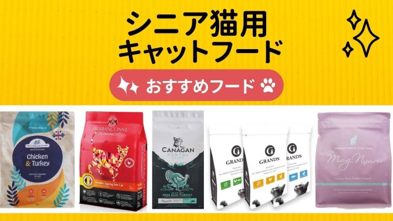 シニア猫用キャットフード