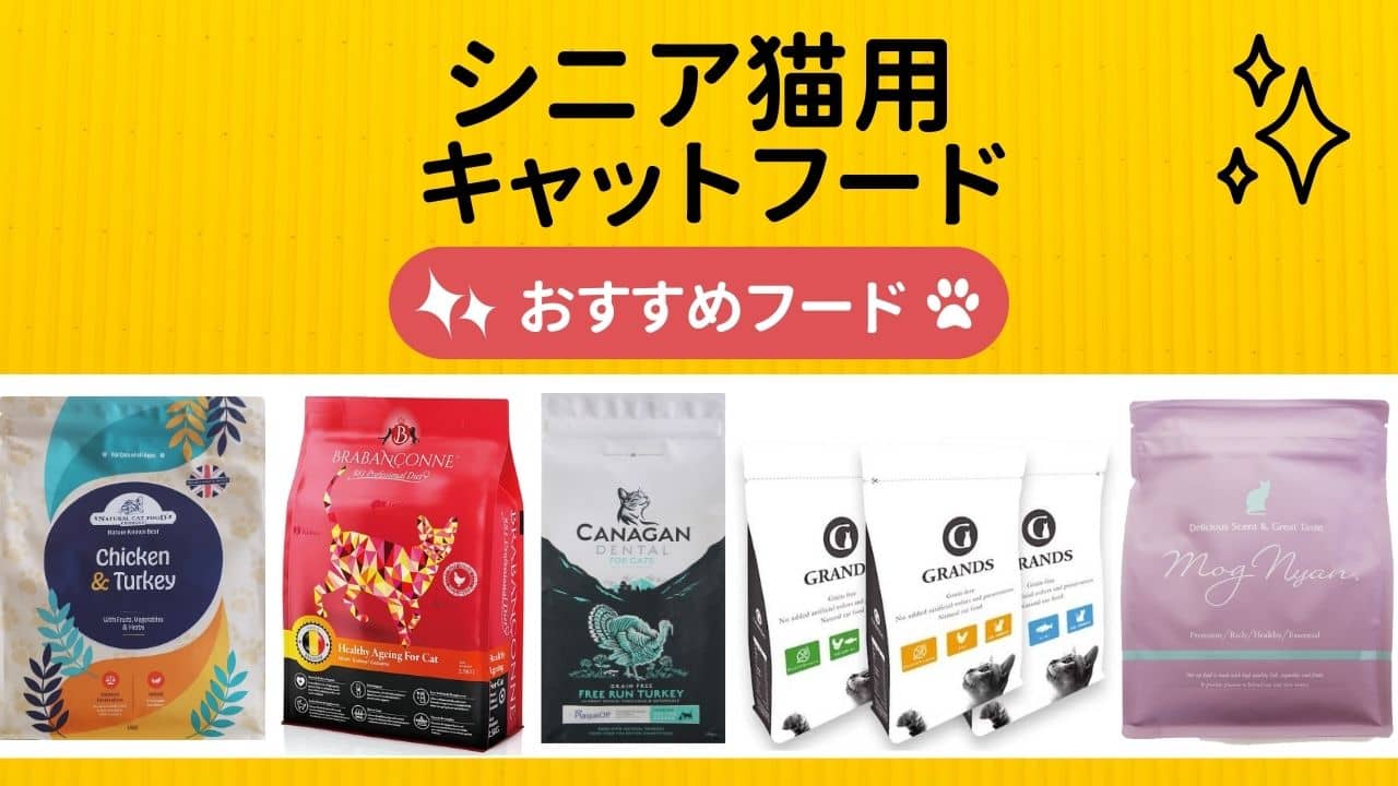 シニア猫用キャットフード