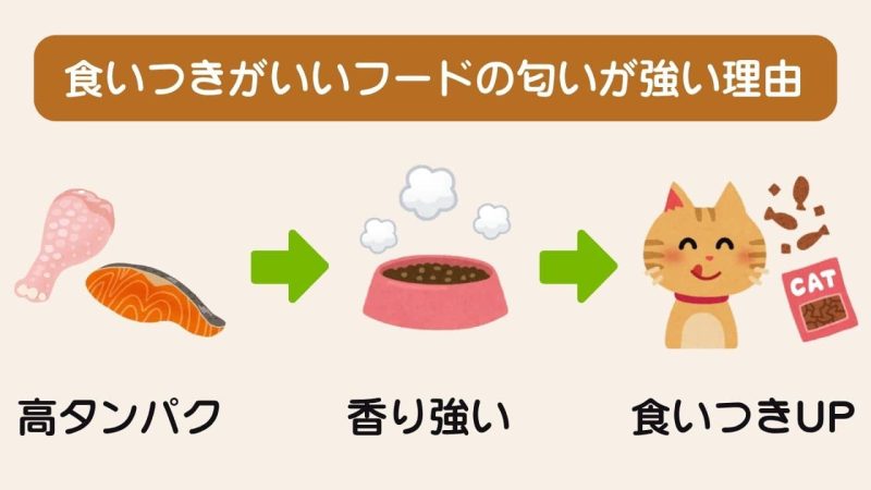 食いつきがいいキャットフード