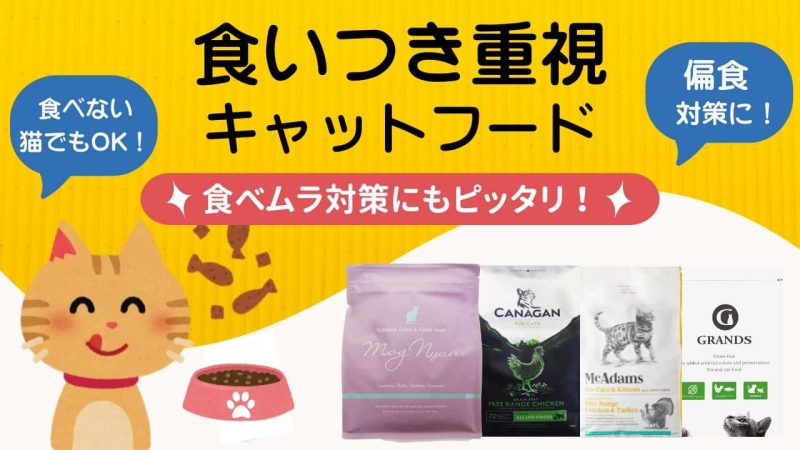 食いつきがいいキャットフード