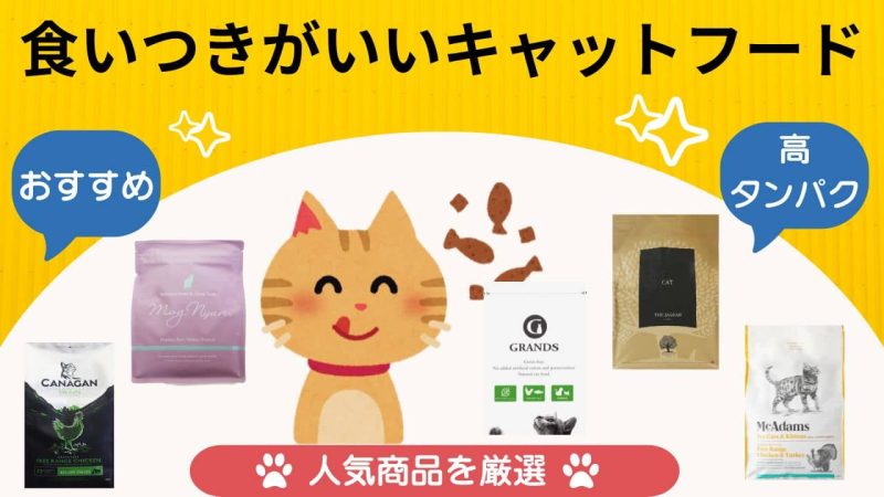食いつきがいいキャットフード